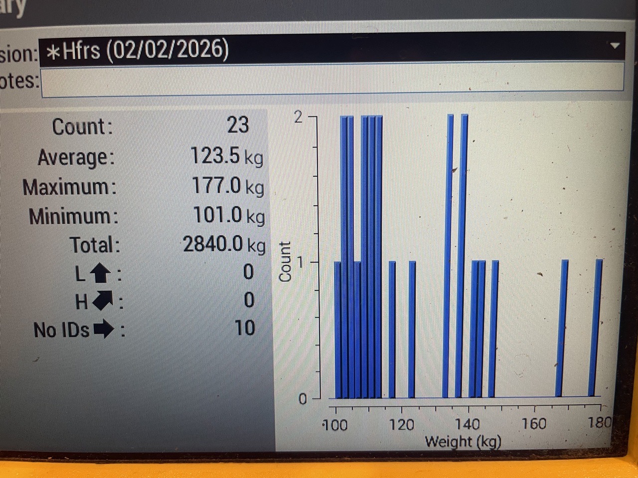 Hereford/charolais friesian 
heifers  - Image #1