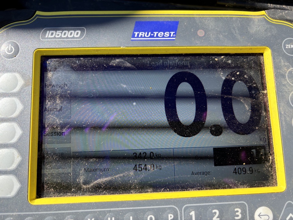 older sisters  - Image #1